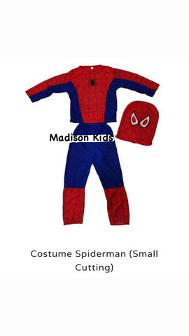 Spiderman costume
